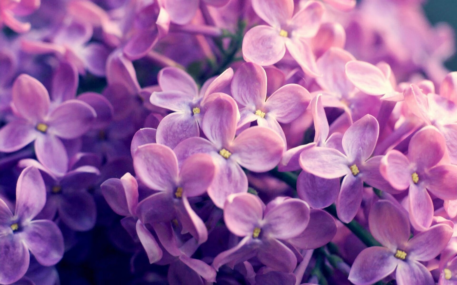 爱游戏入口-永恒72小时，当广州绝杀凯尔特人，伦纳德于另一个维度的回响