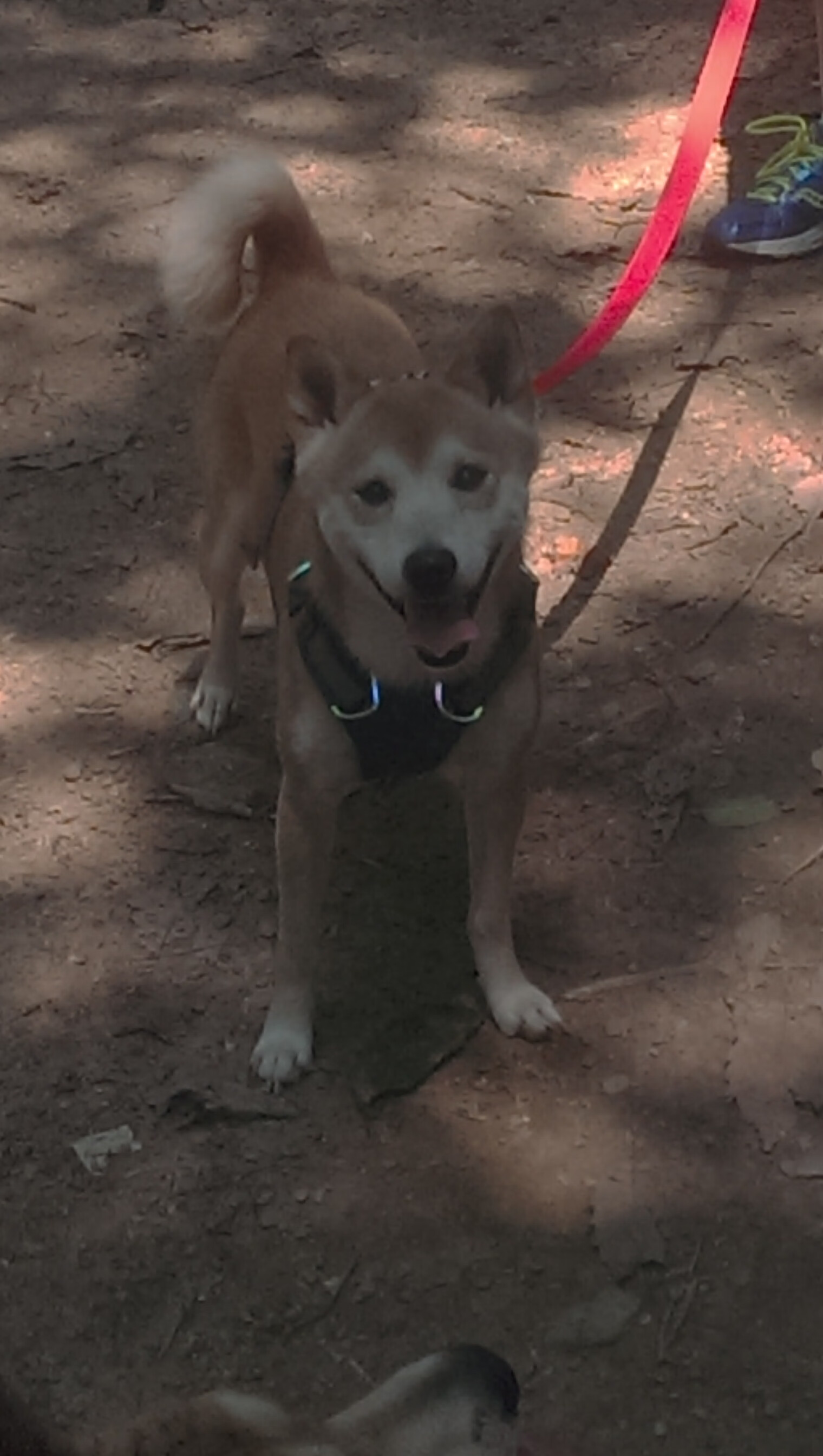 冰岛式极简主义，库尔图瓦如何成为商战中的零封艺术家