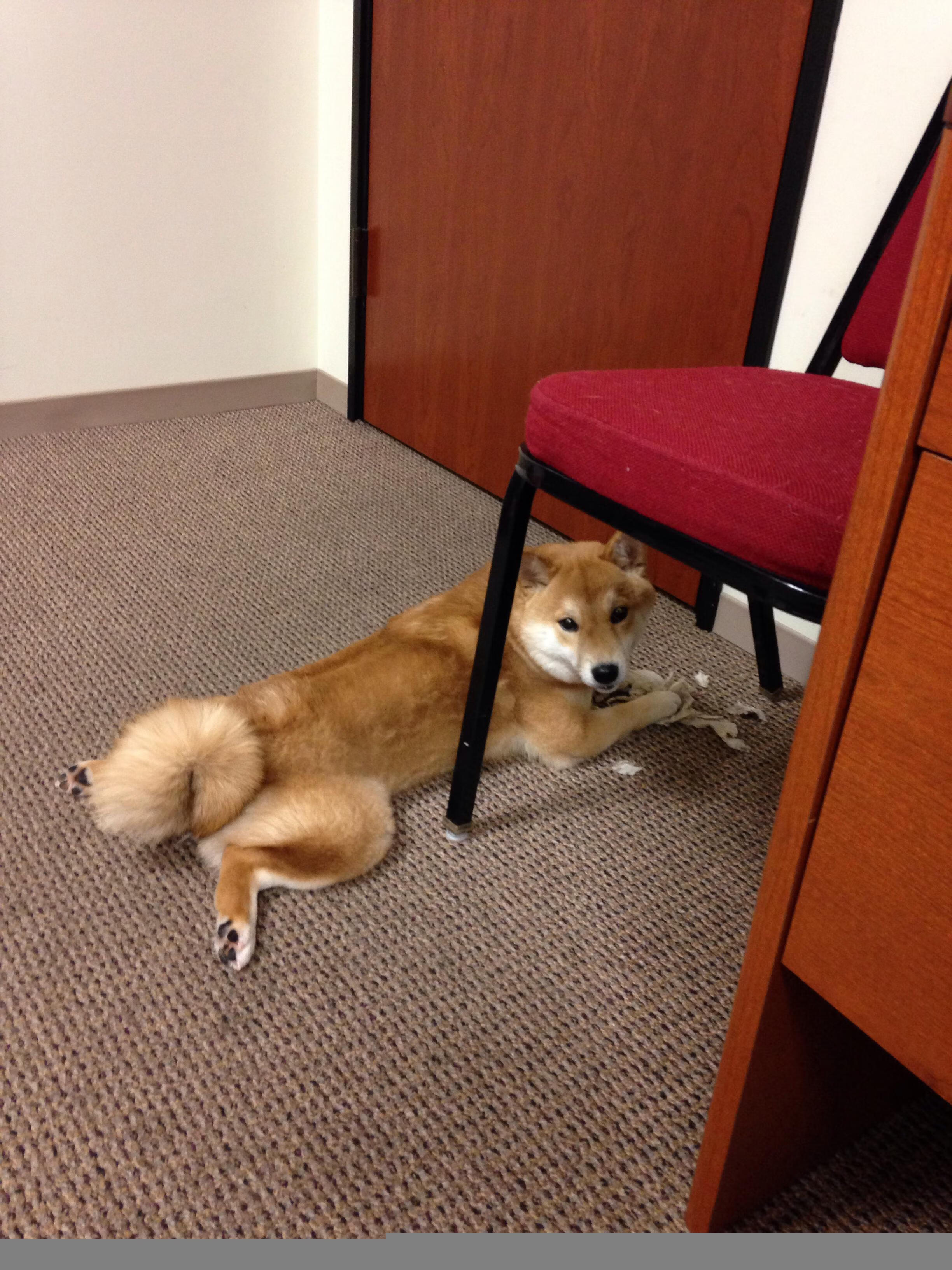 防守艺术家,当本泽马的跑位成为对手的无形囚笼