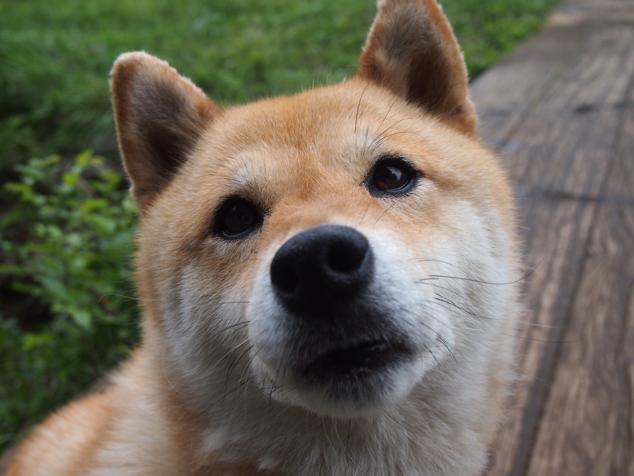 王座旁的黑马，米切尔末节11分+致胜抢断，国王险掀翻76人铁幕