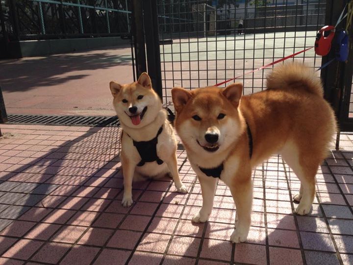 解构篮网队的战术胜利,爱德华兹的无缝切换成关键