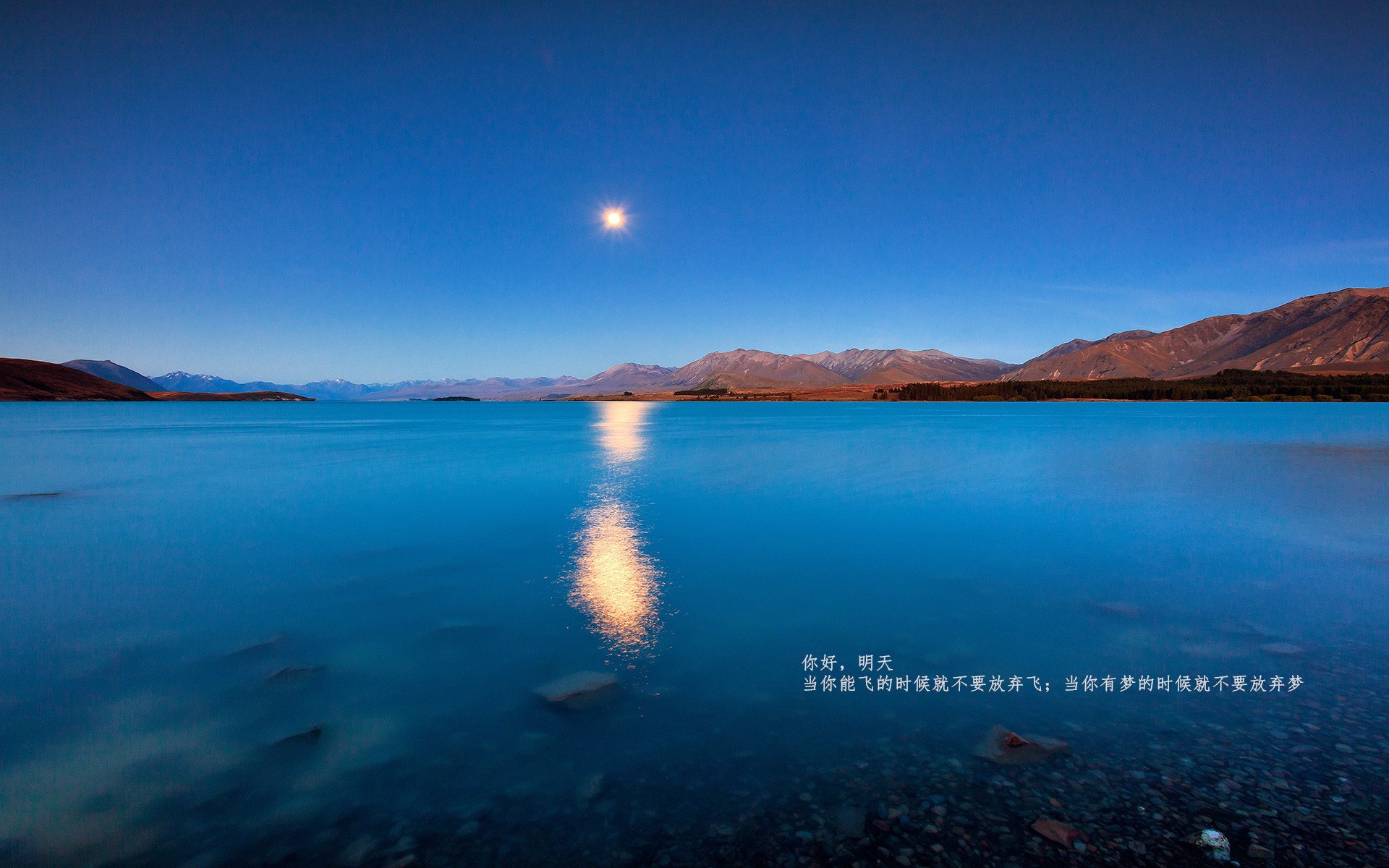 神罚降临,39岁的兹拉坦如何在一夜间让意甲防线沦为祭坛