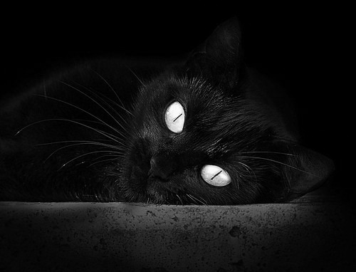 爱游戏APP-魔幻现实，平行宇宙中奇才的逆袭与西亚卡姆的总决赛神话