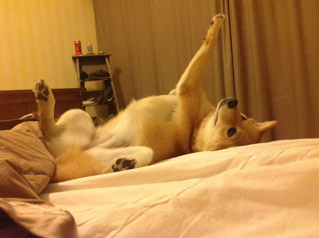 冰与火之歌,加克波关键回合尽显大心脏,巴西压哨绝杀荡气回肠