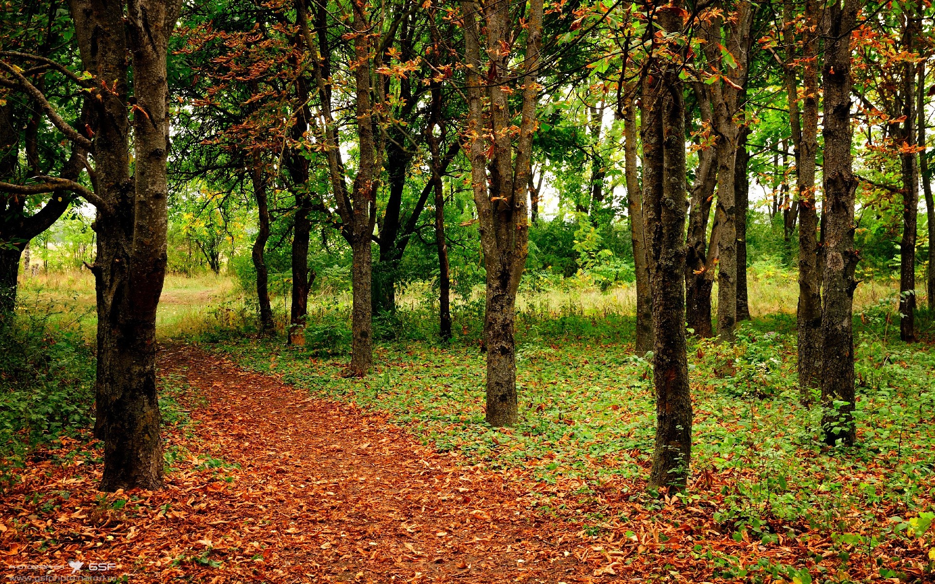 跨越大陆的青春风暴,当中国小将绝杀埃及,马丁内利在意甲赛场起舞