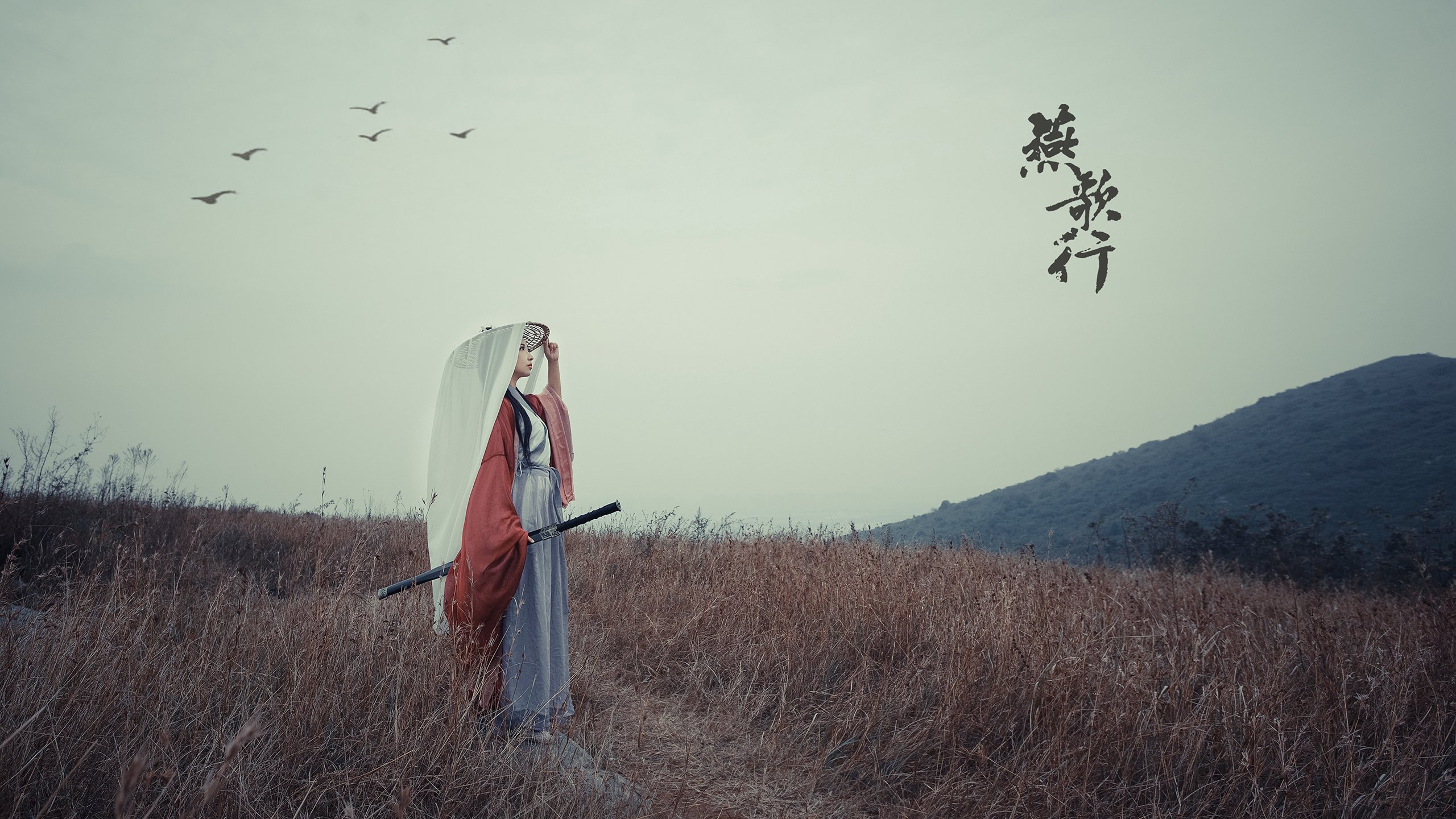 逆转之夜,2026世界杯C组,日本绝地反击,佩德里致命一击改写命运