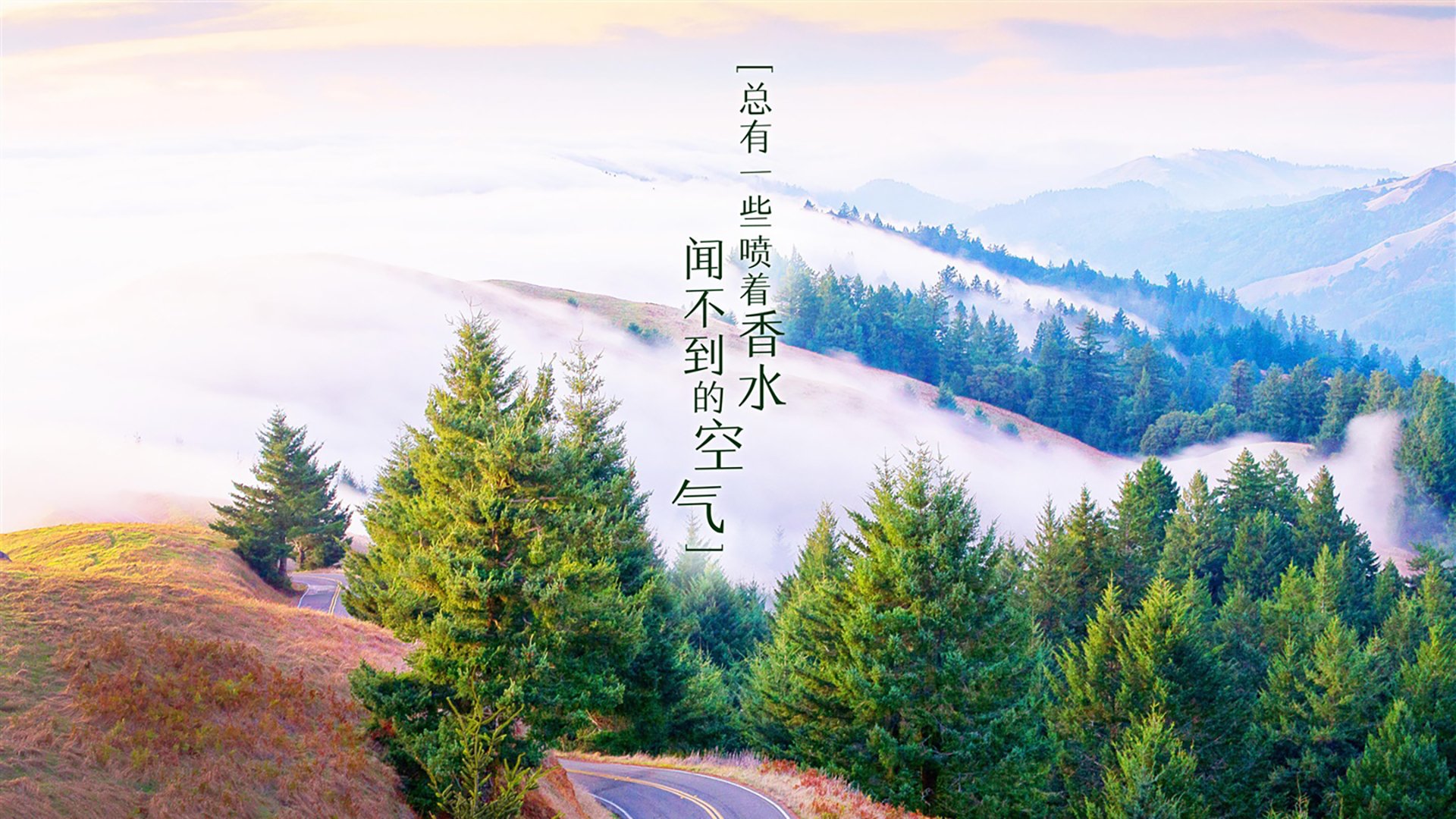爱游戏下载-星落郁金香，2026世界杯D组生死战，吉鲁以第三只眼洞穿橙衣防线
