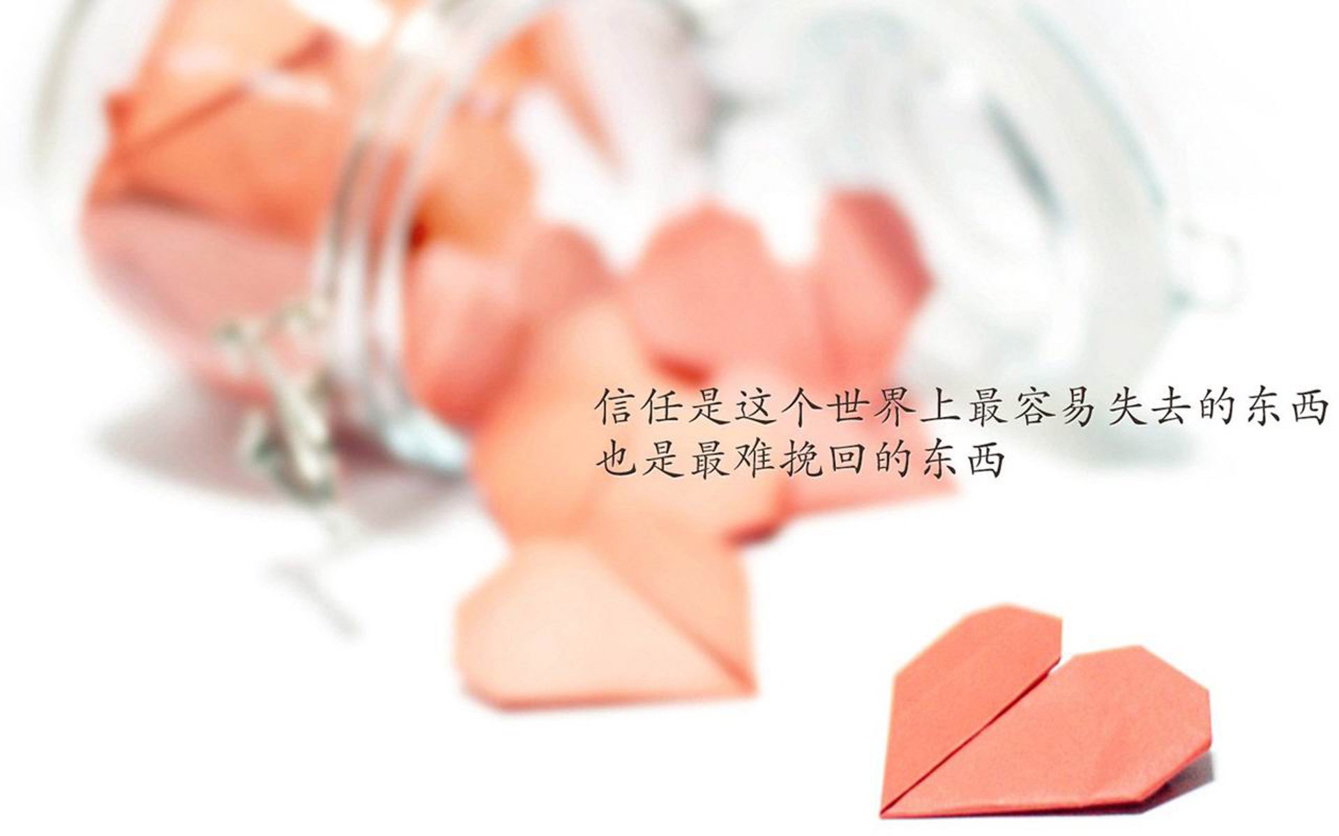 托纳利的节拍器,2026世界杯A组焦点战,印度防守如何压制摩洛哥的狂野基因