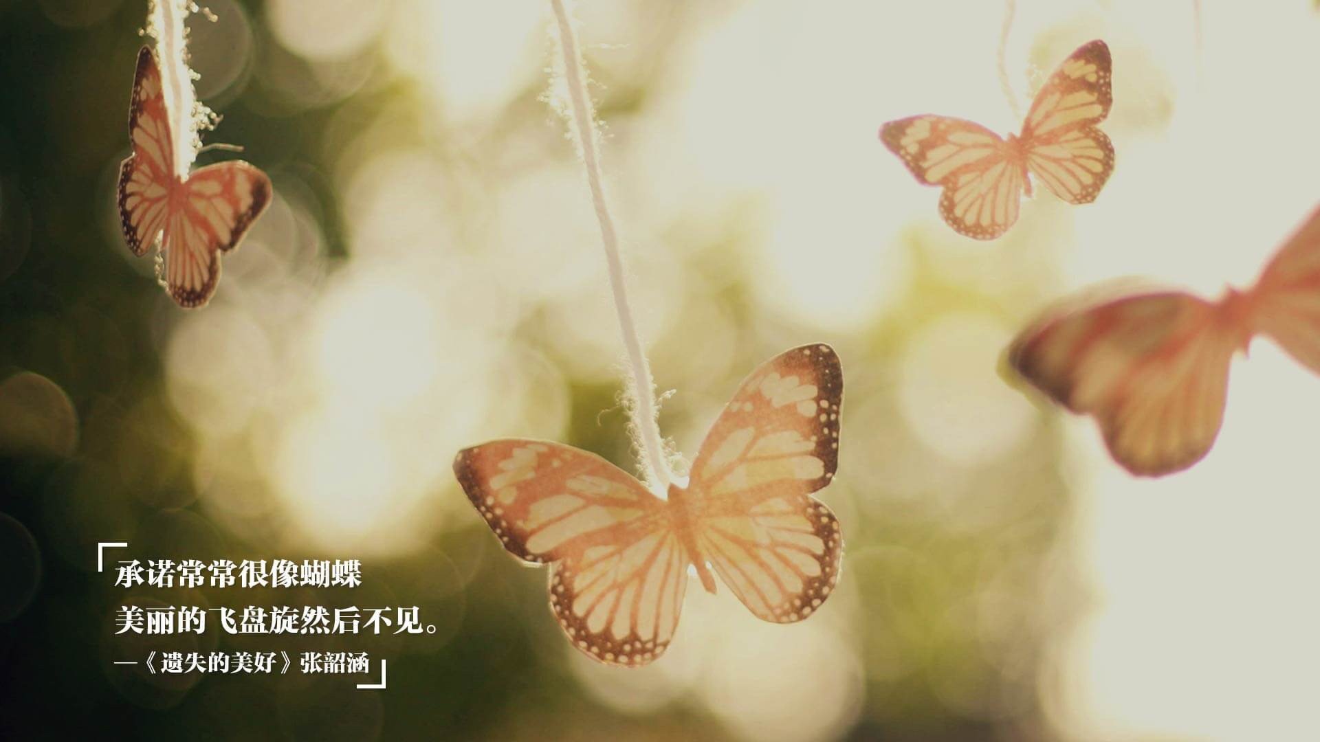 冰火两重天，乌拉圭风暴席卷北欧，哈兰德独木难支成悲情英雄
